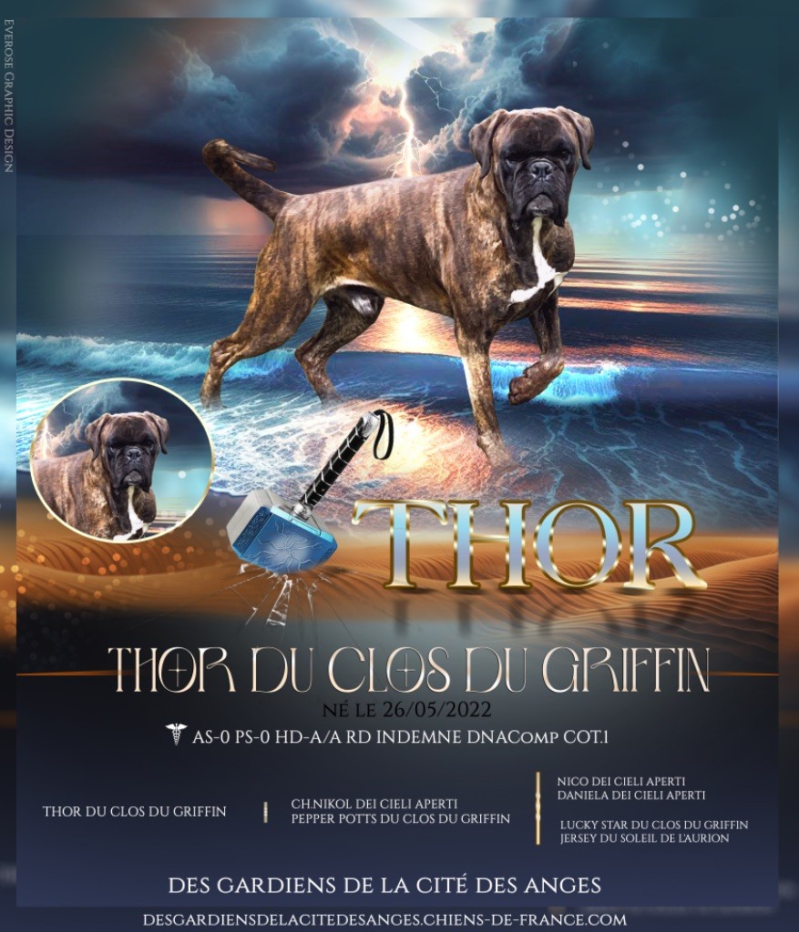 Thor Du Clos Du Griffin