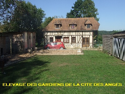 des Gardiens De La Cité Des Anges - Merci