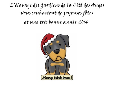 des Gardiens De La Cité Des Anges - Joyeuses fêtes