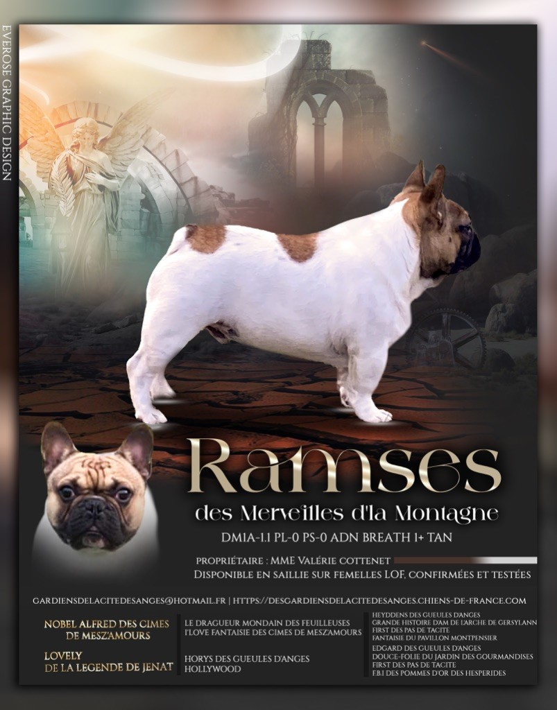 Ramses Des Merveilles D'la Montagne