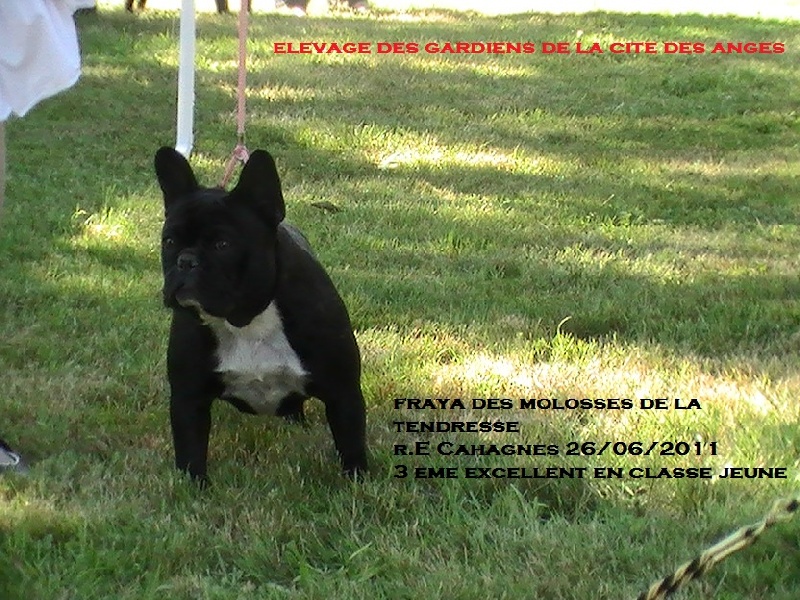 R.E Cahagnes le 28/08/11