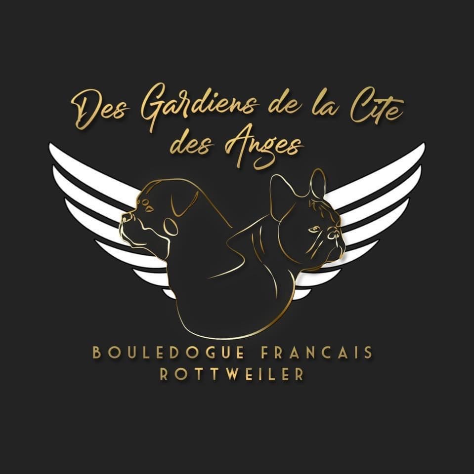 des Gardiens De La Cité Des Anges
